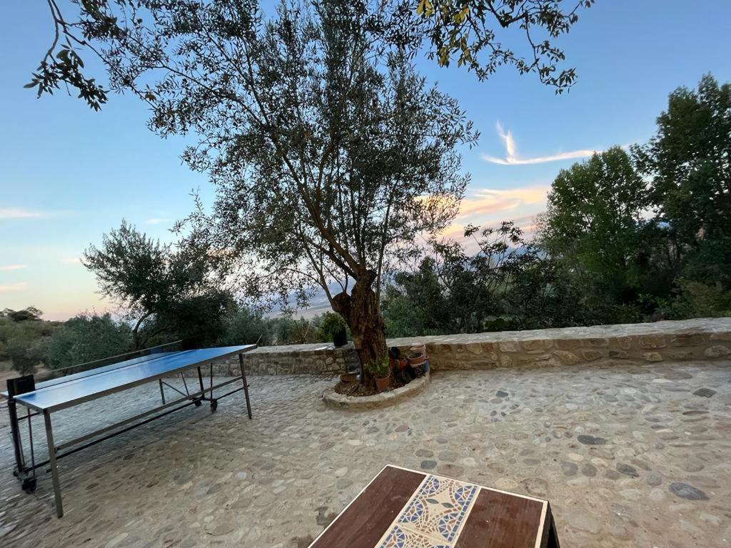 Casa De Campo Fuencaliente, Entorno Natural, Chimenea, Piscina Canete la Real 外观 照片